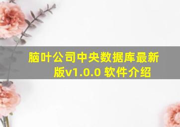 脑叶公司中央数据库最新版v1.0.0 软件介绍